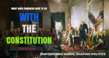 Congress and Constitution: Partners in Democracy