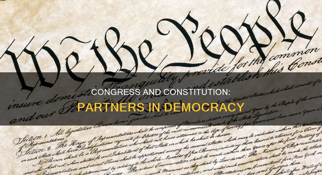what does congress have to do with the constitution