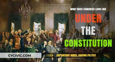 The US Congress: Constitutional Design and Dynamics