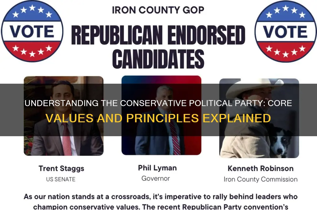 what does conservative political party mean