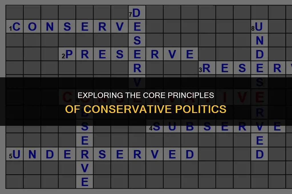 what does conservitive politics