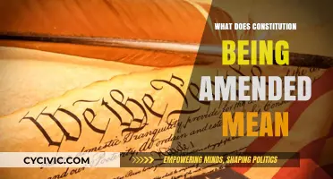 Amending the Constitution: What Does it Mean?