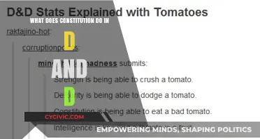 Creating a D&D World with a Constitution