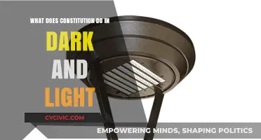 Constitution: Balancing Light and Dark