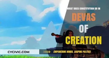 The Constitution's Role in the Divine Plan of Creation