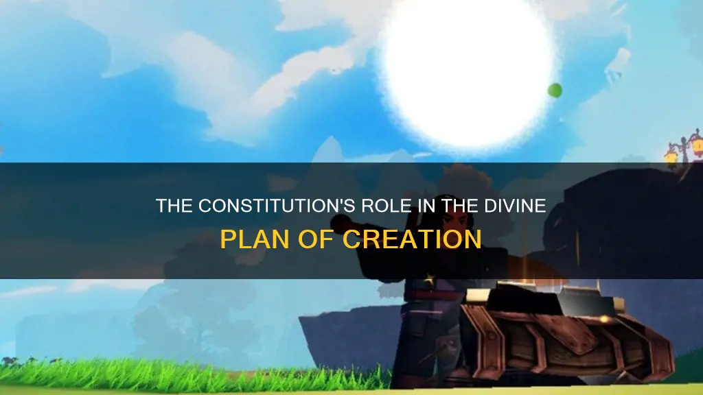 what does constitution do in devas of creation