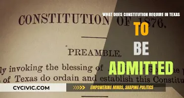 Texas's Constitutional Requirements for State Admission