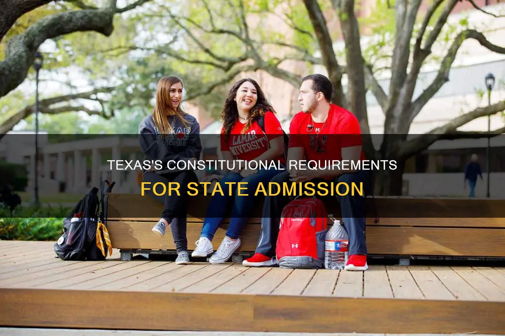what does constitution require in texas to be admitted
