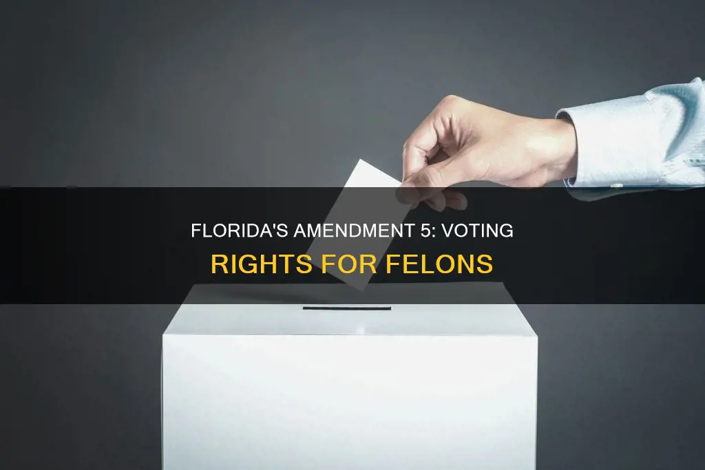 what does constitutional amendment 5 mean in florida