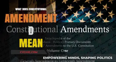 Understanding Constitutional Amendment D: What Does it Mean?