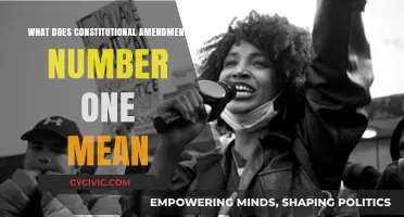 Understanding the First Amendment: Freedom and Rights