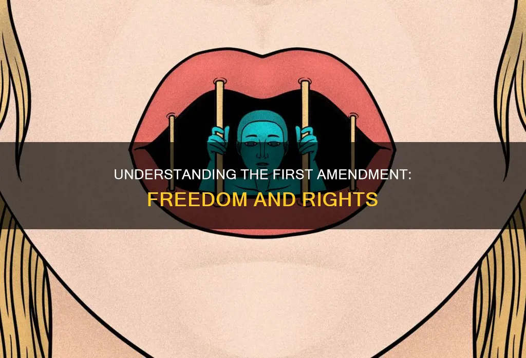 what does constitutional amendment number one mean