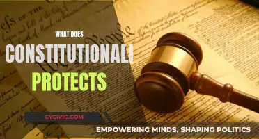 Constitutionalism: Safeguarding Our Rights and Liberties