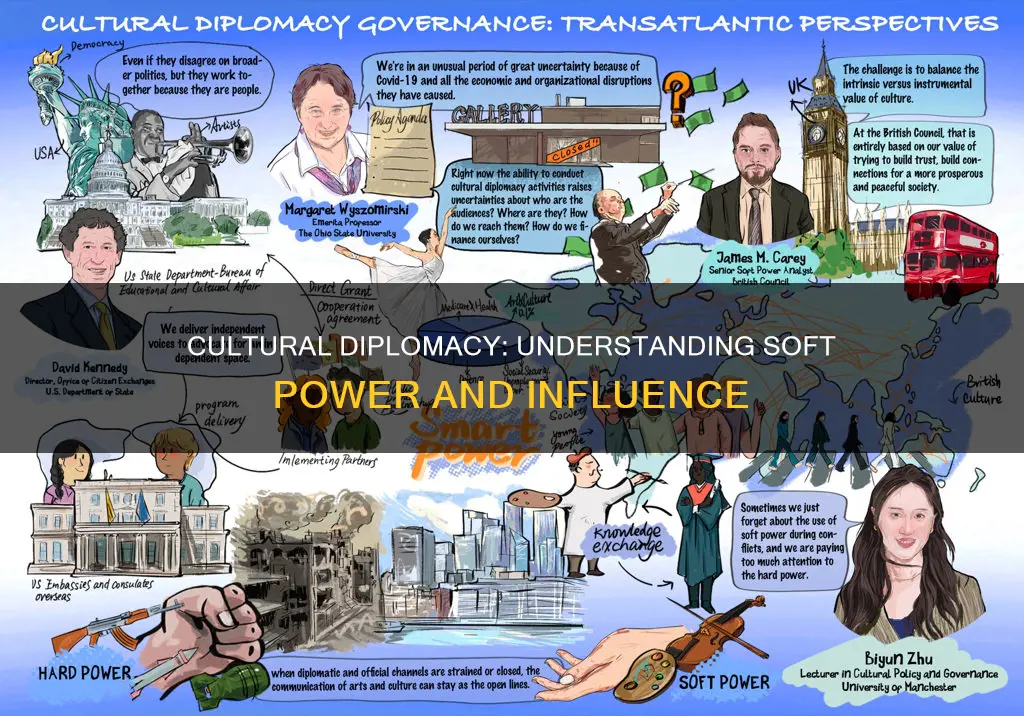 what does cultural diplomacy mean