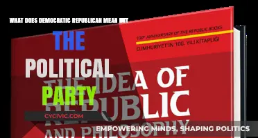 Understanding Democratic Republicanism: Beyond Political Parties and Labels