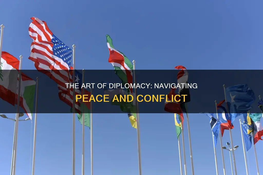 what does diplomacy include