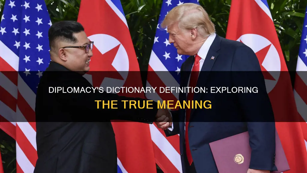 what does diplomacy mean dictionary
