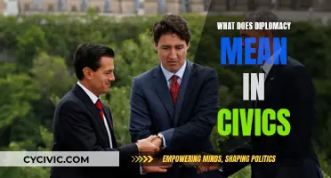 The Art of Diplomacy: Civics Explained