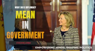 Diplomacy: The Art of Government Negotiation and Influence