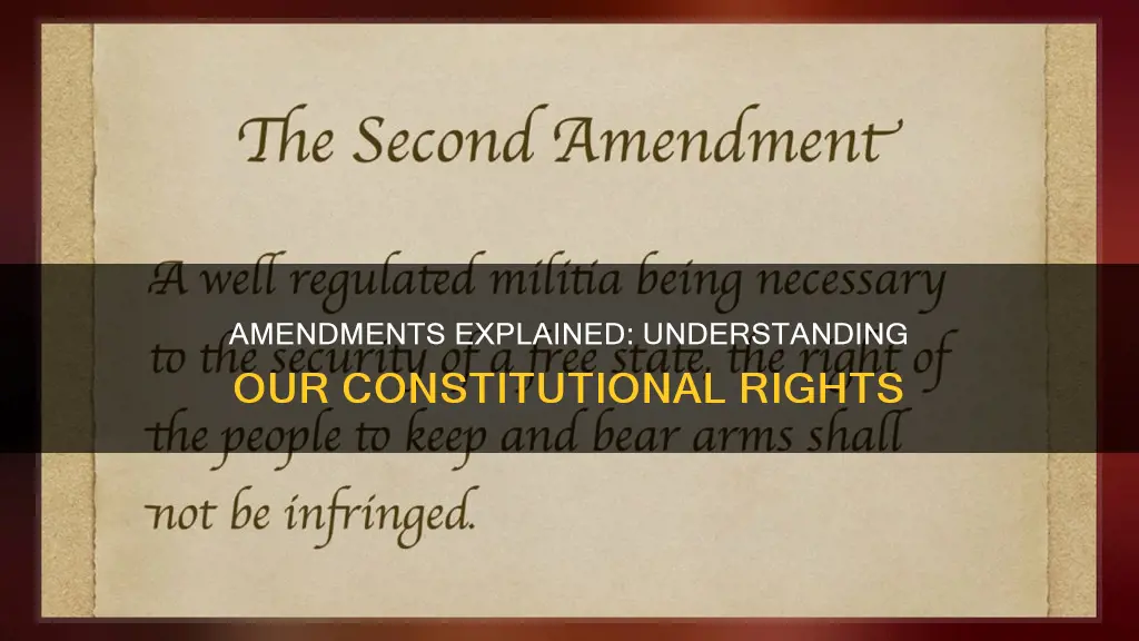 what does each amendment of the constitution mean