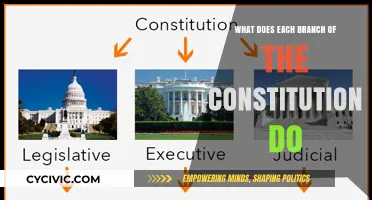 Understanding the Constitution: Branch Powers and Functions