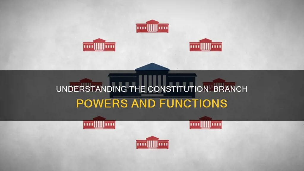 what does each branch of the constitution do