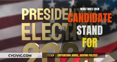 Election Promises: Candidate Platforms and Their Meaning