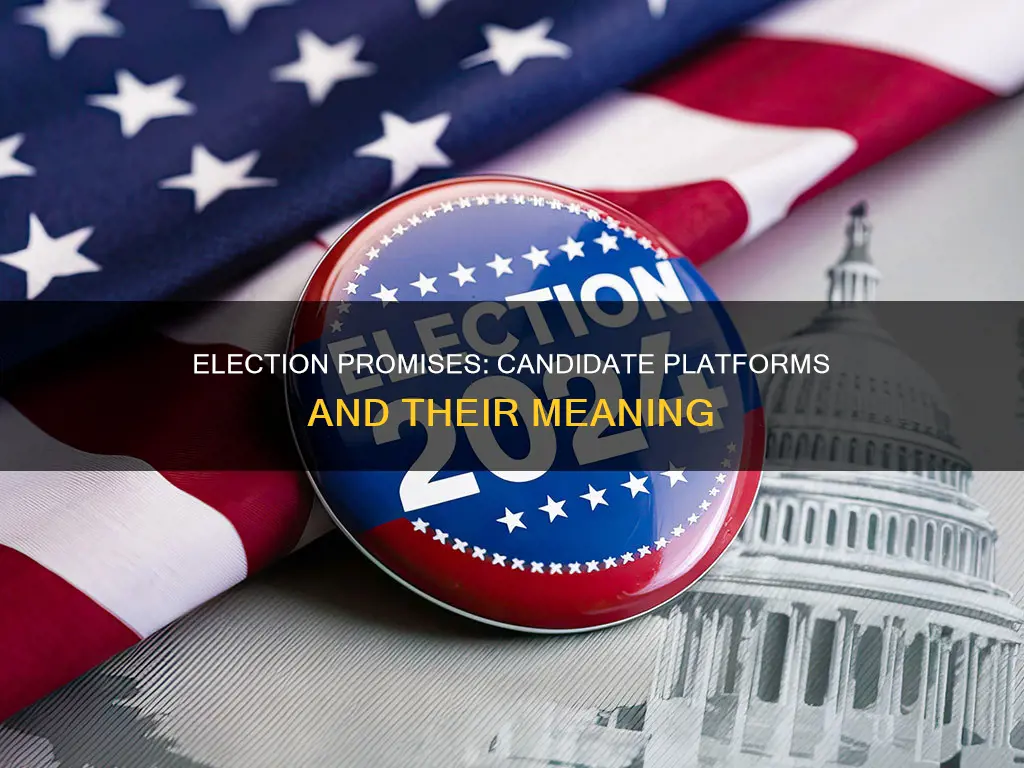 what does each candidate stand for