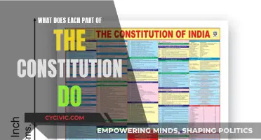 Understanding the US Constitution: Roles and Responsibilities