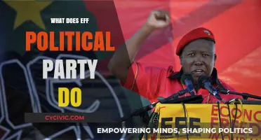 Exploring the EFF Political Party's Role and Impact in South Africa