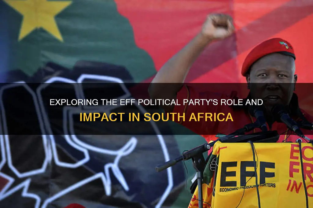 what does eff political party do