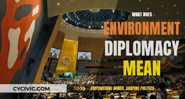 Environmental Diplomacy: Global Action for a Green Future