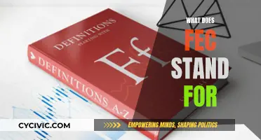 The Evolution of Fec: What Does It Stand For?