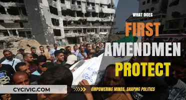 First Amendment: Protecting Your Freedom of Expression