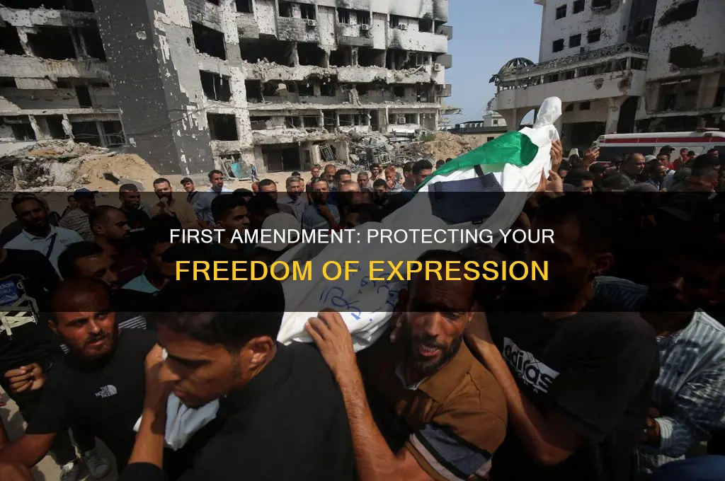 what does first amendment protect