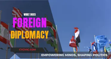 Foreign Diplomacy: Understanding International Relations and Global Impact