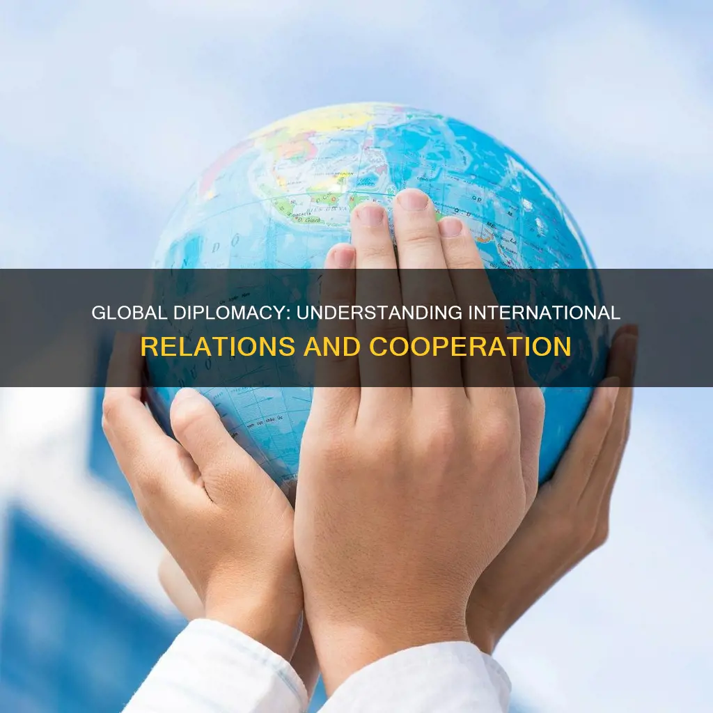 what does global diplomacy mean