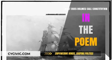 Sherlock Holmes' Unique Take on the Constitution