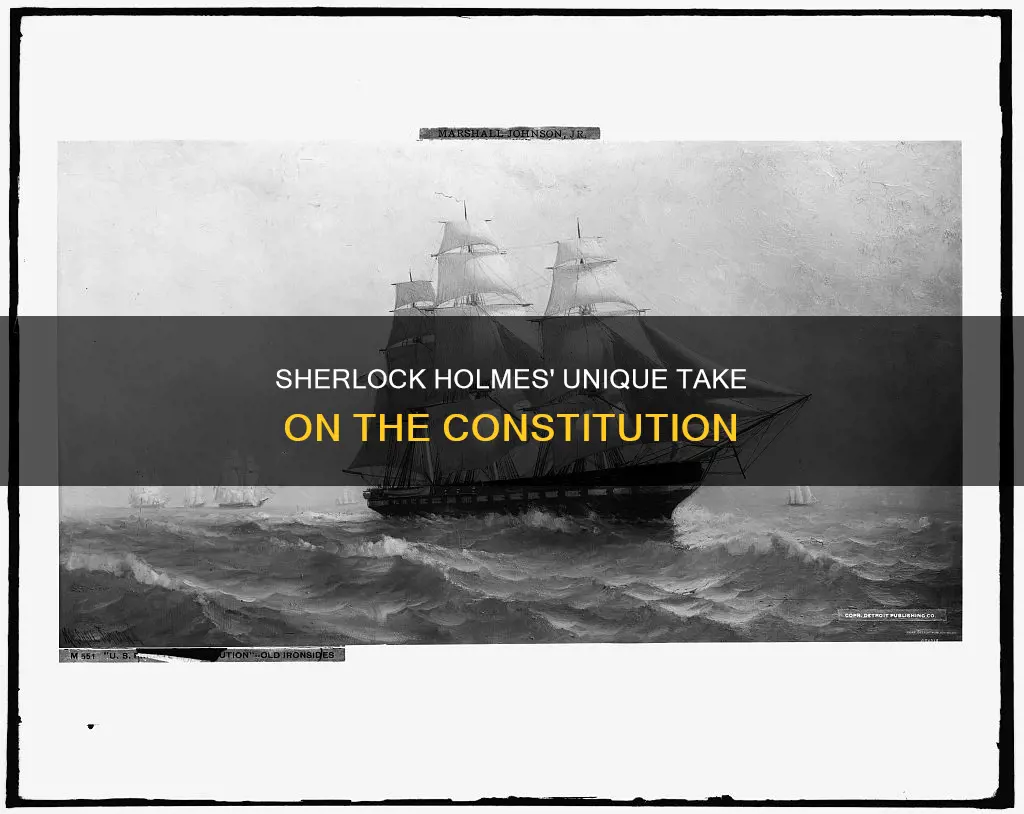 what does holmes call constitution in the poem