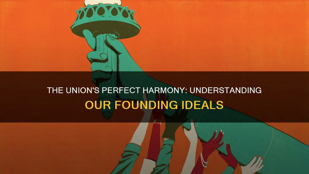 what does in order to form a perfect union