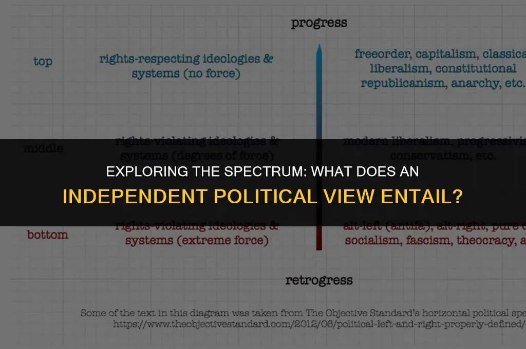what does independent political view