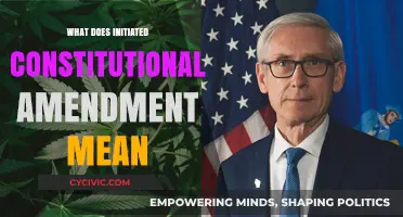 Understanding Initiated Constitutional Amendment