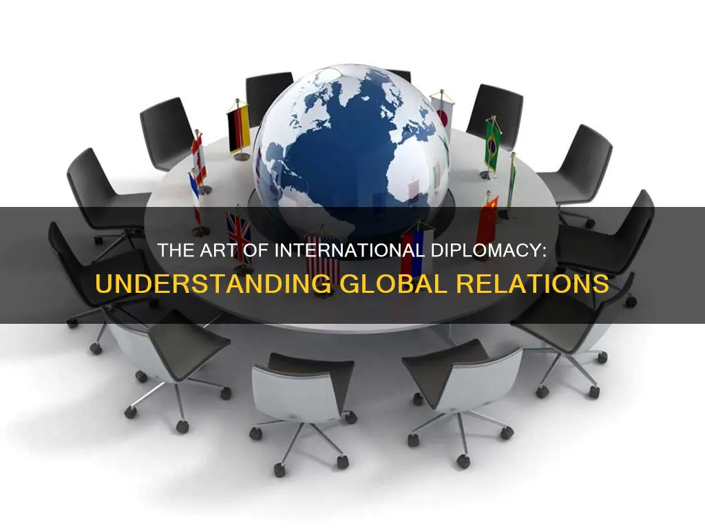 what does international diplomacy mean
