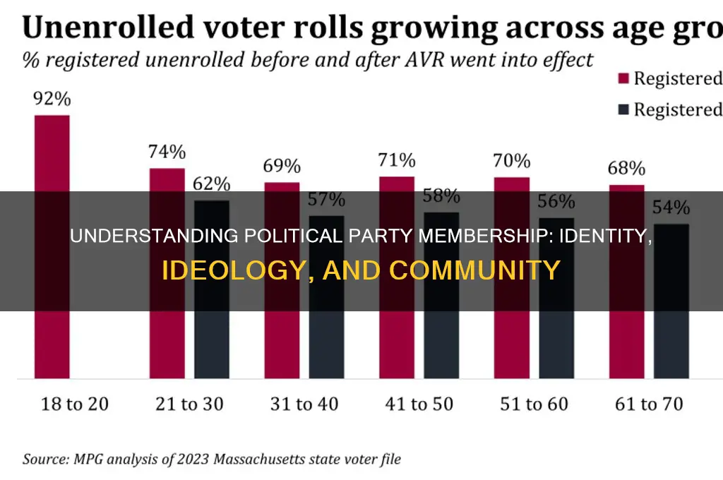 what does it mean to belong to a political party