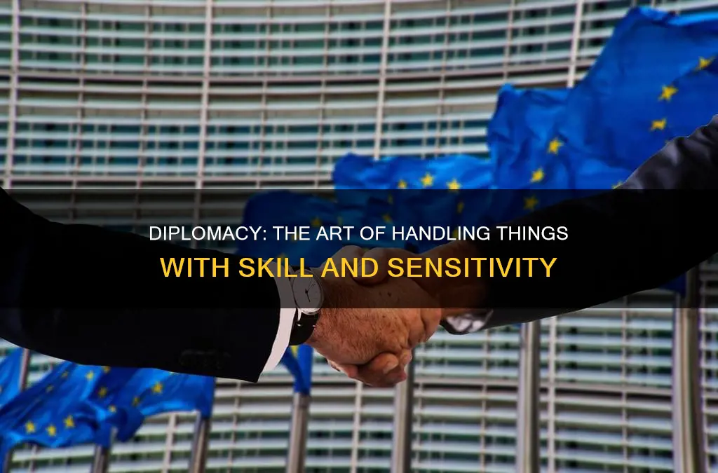 what does it mean to handle things with diplomacy