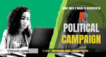 Volunteering in Politics: What It Really Means