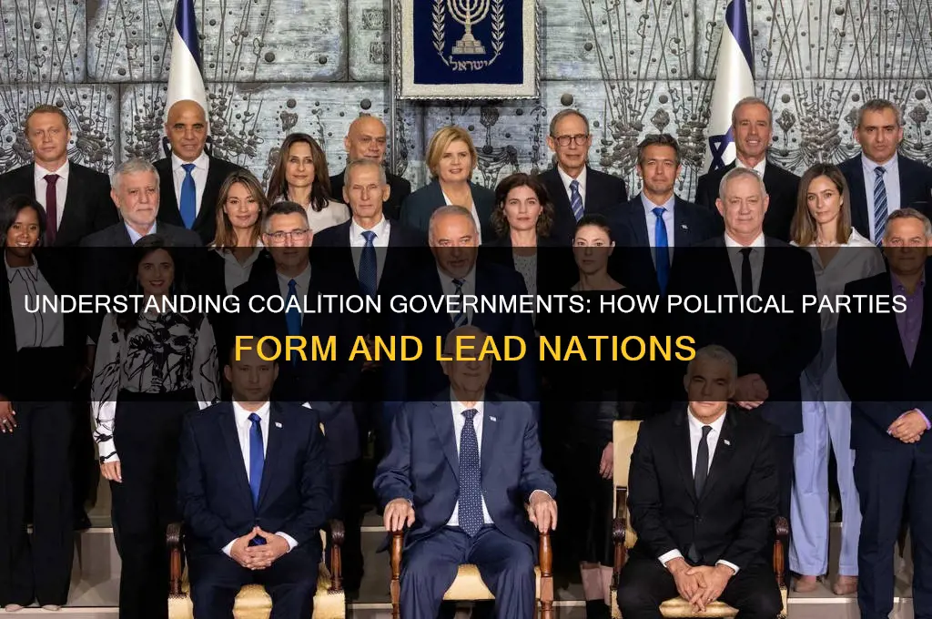 what does it mean when political parties form a government