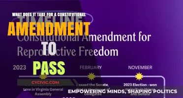 The Challenge of Amending the Constitution