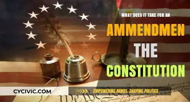 The Challenge of Changing the Constitution