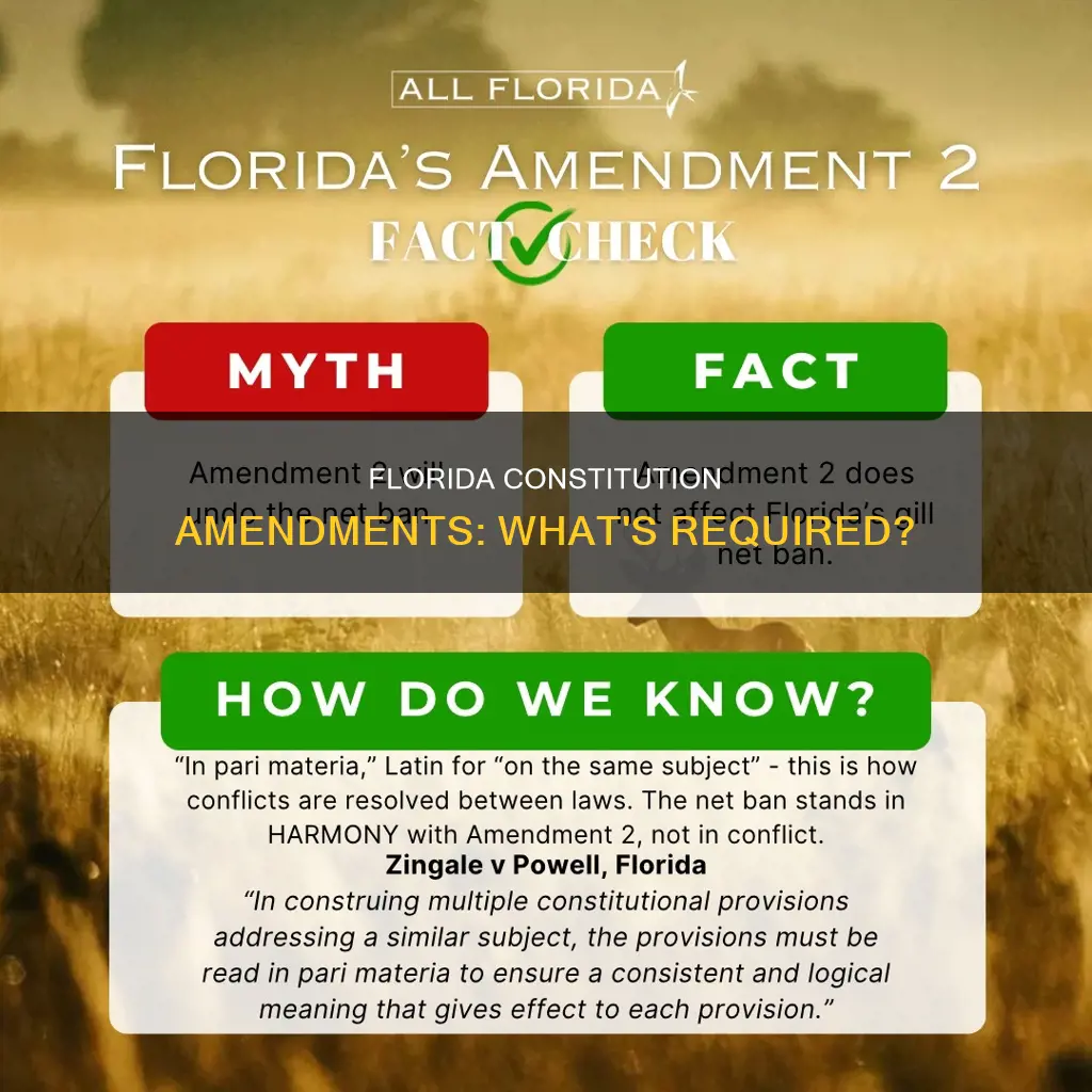 what does it take to amend the florida constitution